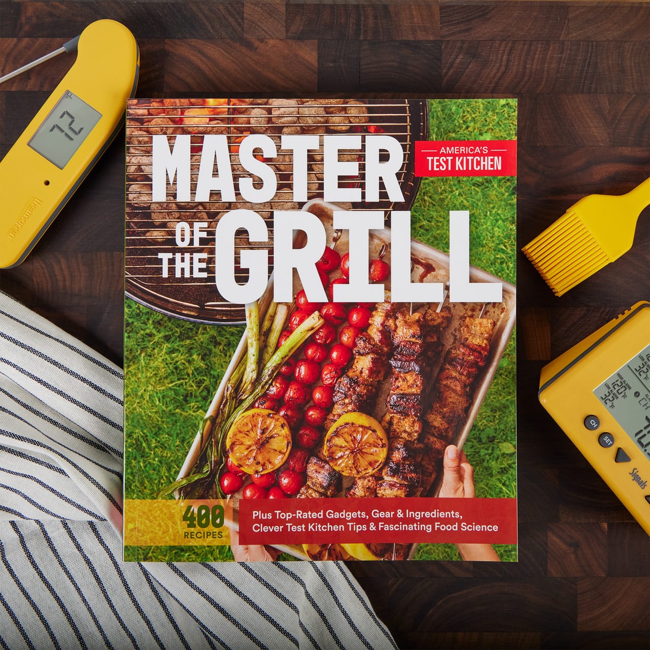 BK-ATKGRILL-master-of-the-grill-by-americas-test-kitchen-g00.jpg