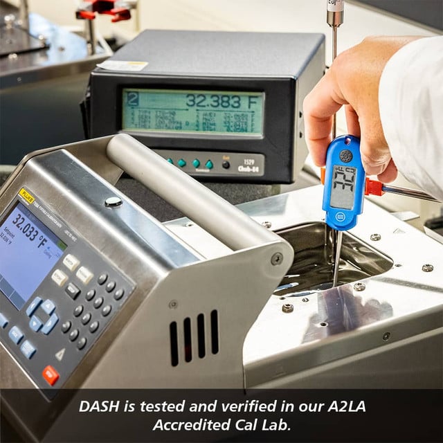 DASH-dash-thermometer-g05.jpg