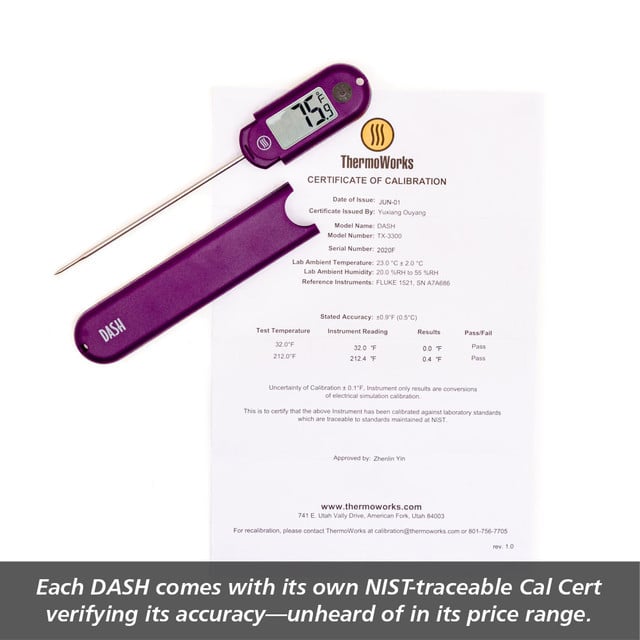 DASH-dash-thermometer-g08.jpg