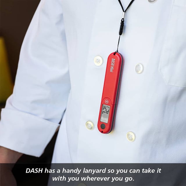 DASH-dash-thermometer-g10.jpg