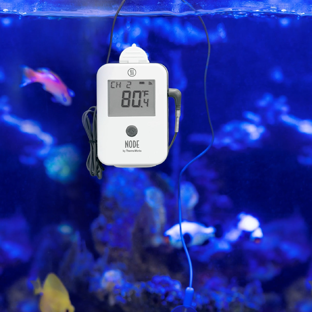 NODE-PDP-gallery-13.jpg