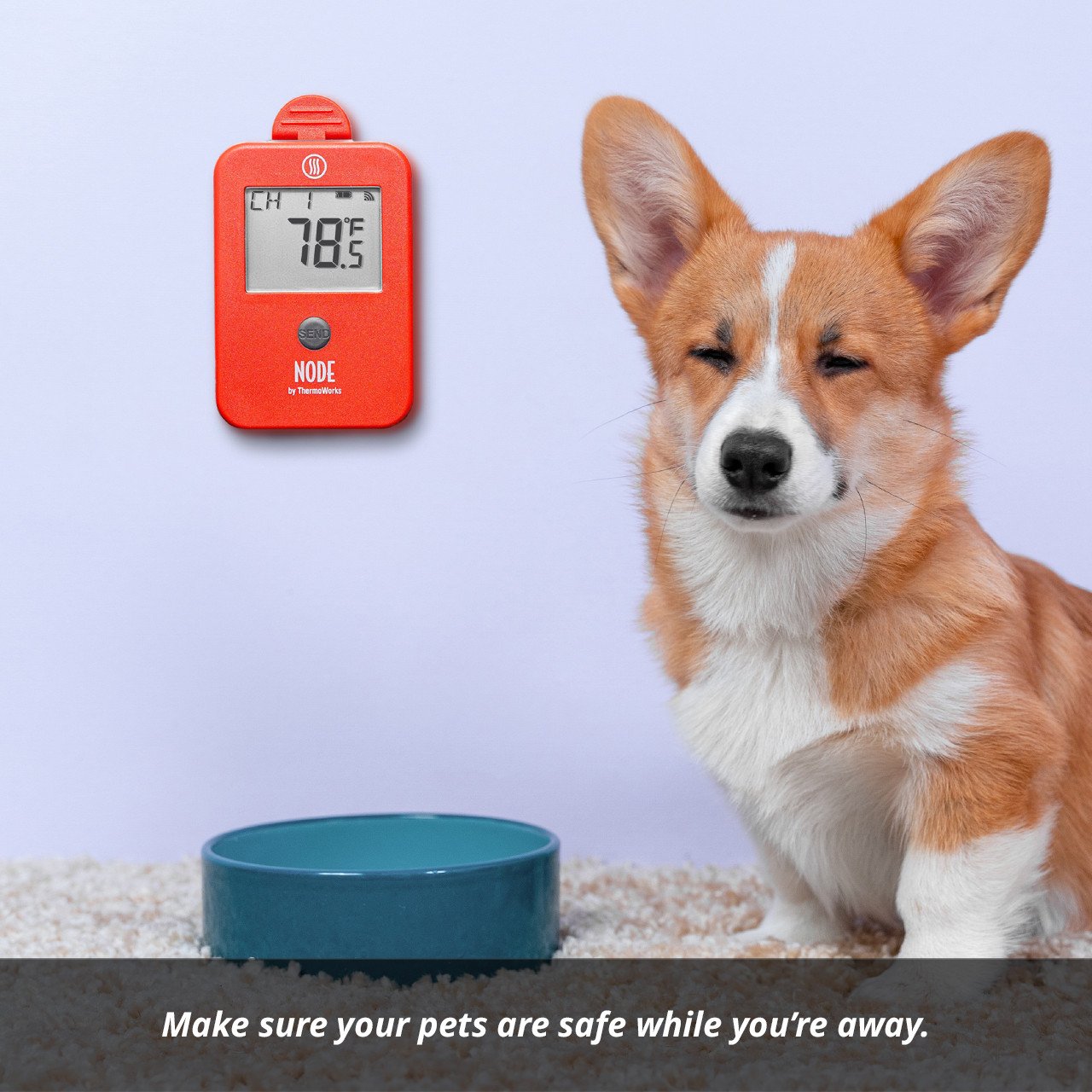 NODE-node-wi-fi-temperature-and-temperature-humidity-monitor-g011.jpg
