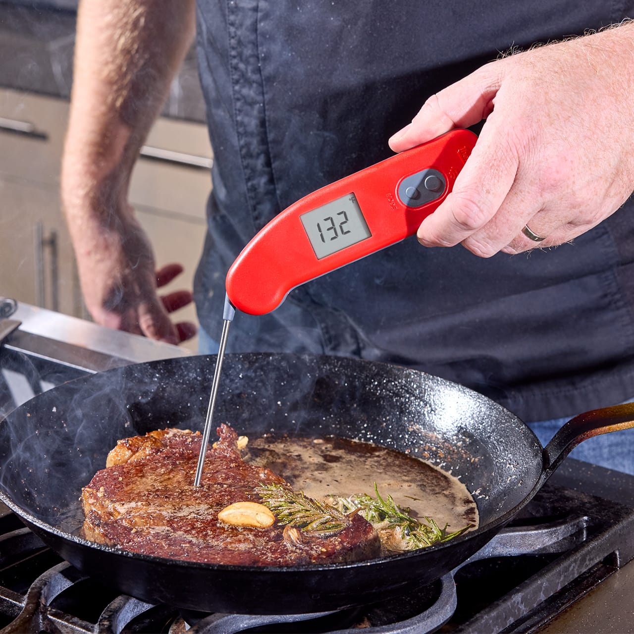 Thermapen-IR-thermapen-ir-g05.jpg